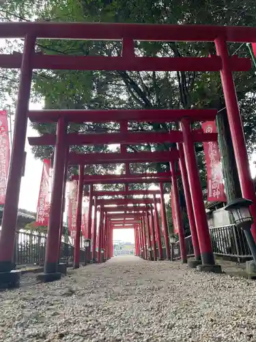 金井神社の鳥居