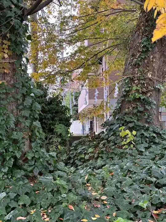 小野神社の自然
