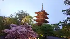 東寺（教王護国寺）の塔