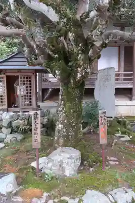 如意輪寺(奈良県)