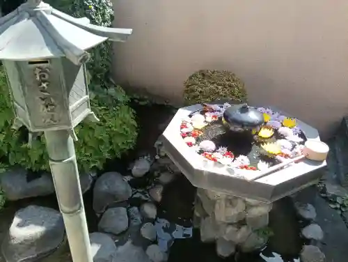 神楽坂安養寺の{uncategorized: "未分類", other: "その他", undefined: "問題あり", building: "その他建物", grave: "お墓", sacred_gate: "鳥居", guardian: "狛犬", statue: "像", buddha: "仏像", history: "歴史", nature: "自然", garden: "庭園", animal: "動物", pagoda: "塔", temizu: "手水舎", mountain_gate: "山門・神門", sanctuary: "本殿・本堂", subordinate: "末社・摂社", art: "芸術", scenery: "景色", jizo: "地蔵", ema: "絵馬", goshuin: "御朱印", omikuji: "おみくじ", items: "授与品その他", amulet: "お守り", goshuincho: "御朱印帳", eats: "食事", festival: "お祭り", votive_dance: "神楽", shichigosan: "七五三参", wedding: "結婚式", experience: "体験その他", initially: "初詣", around: "周辺", anti_infection: "感染症対策"}