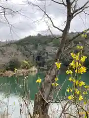 河上神社の自然