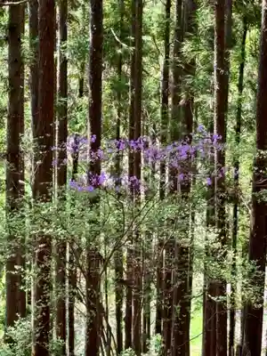 黒田八十八稲荷神社(京都府)