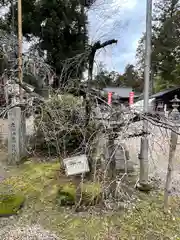 大和神社(奈良県)