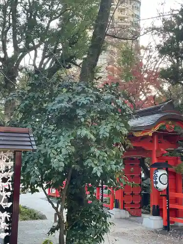 愛宕神社(東京都)