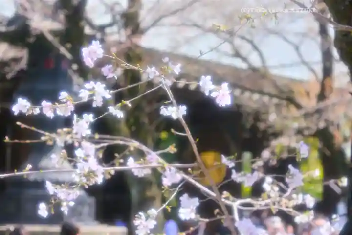 靖國神社(東京都)