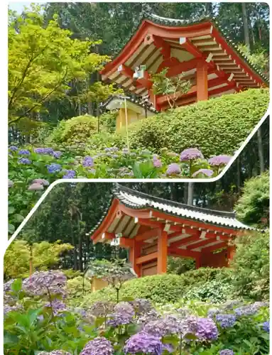 三室戸寺(京都府)