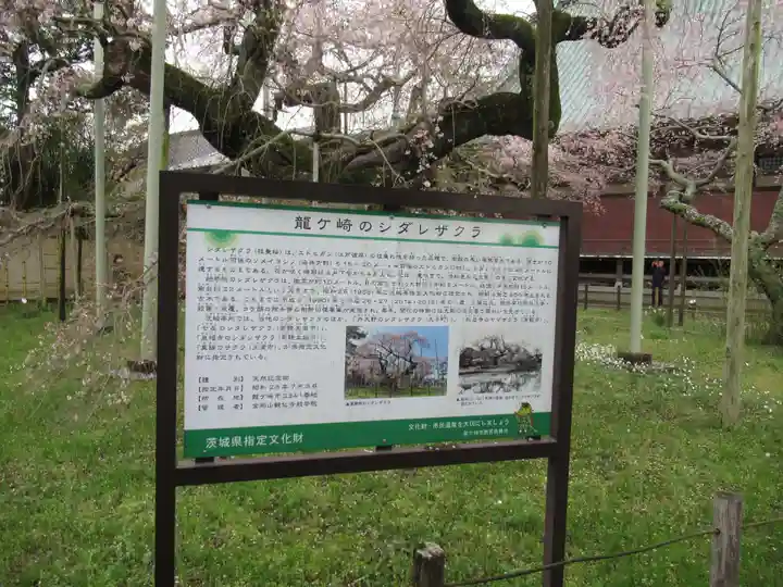 般若院(茨城県)