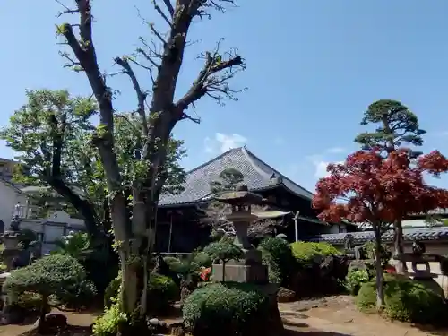 荘厳寺(東京都)