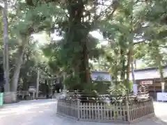 大神神社の自然