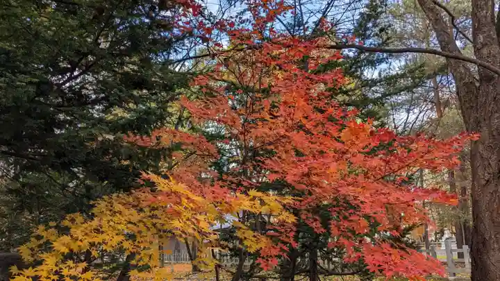 鷹栖神社の自然