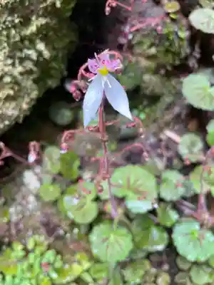 施福寺(大阪府)