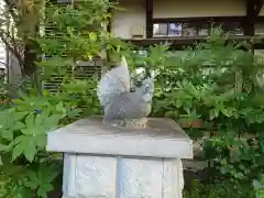 高知大神宮(高知県)