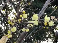 検見川神社の自然