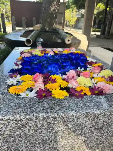 荘内神社の手水舎
