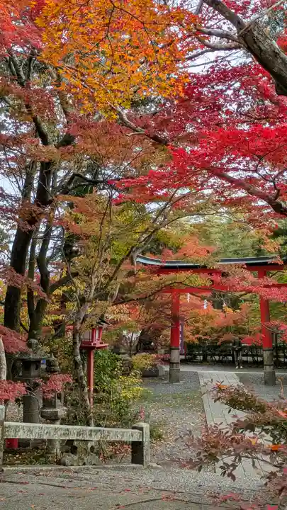 鍬山神社(京都府)