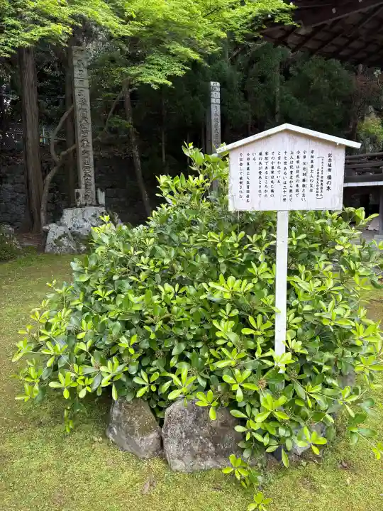 西教寺の{uncategorized: "未分類", other: "その他", undefined: "問題あり", building: "その他建物", grave: "お墓", sacred_gate: "鳥居", guardian: "狛犬", statue: "像", buddha: "仏像", history: "歴史", nature: "自然", garden: "庭園", animal: "動物", pagoda: "塔", temizu: "手水舎", mountain_gate: "山門・神門", sanctuary: "本殿・本堂", subordinate: "末社・摂社", art: "芸術", scenery: "景色", jizo: "地蔵", ema: "絵馬", goshuin: "御朱印", omikuji: "おみくじ", items: "授与品その他", amulet: "お守り", goshuincho: "御朱印帳", eats: "食事", festival: "お祭り", votive_dance: "神楽", shichigosan: "七五三参", wedding: "結婚式", experience: "体験その他", initially: "初詣", around: "周辺", anti_infection: "感染症対策"}