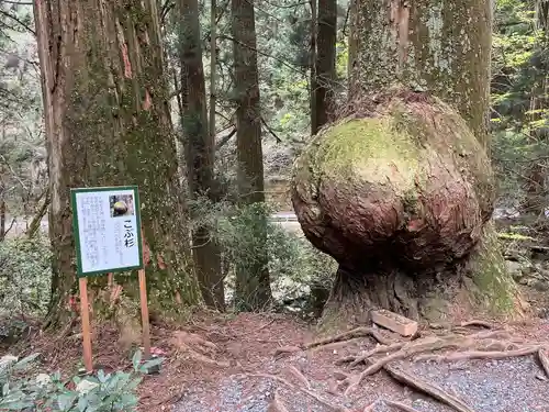 花園神社(茨城県)