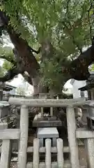 杭全神社(大阪府)