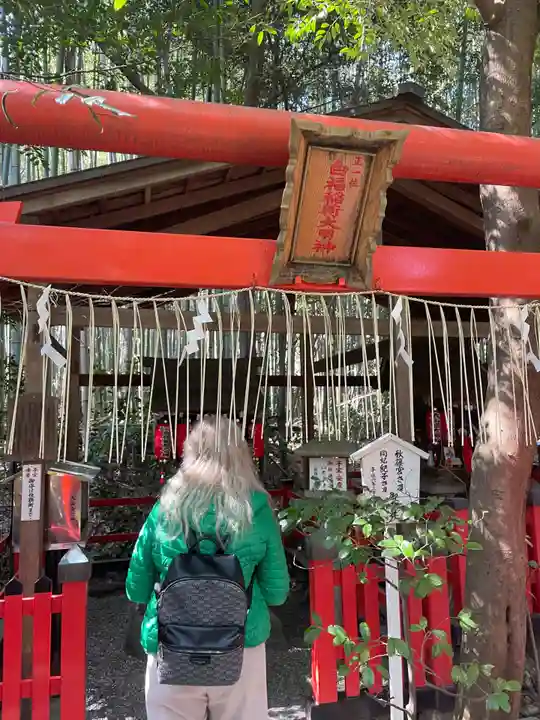 野宮神社(京都府)