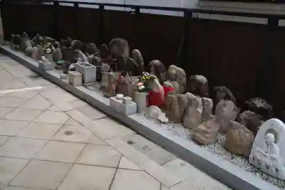 地蔵院（椿寺）(京都府)