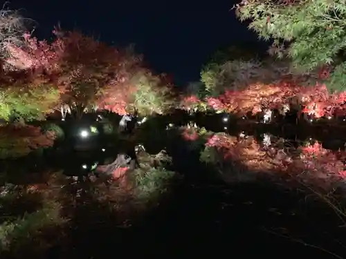 東寺（教王護国寺）の景色