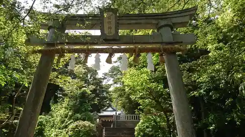 八日市普活廼神社の鳥居