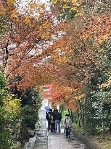 高台寺（高台寿聖禅寺・高臺寺）の景色