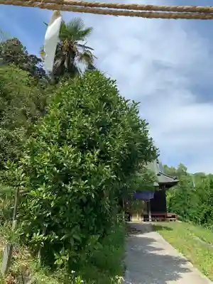 白山神社(群馬県)