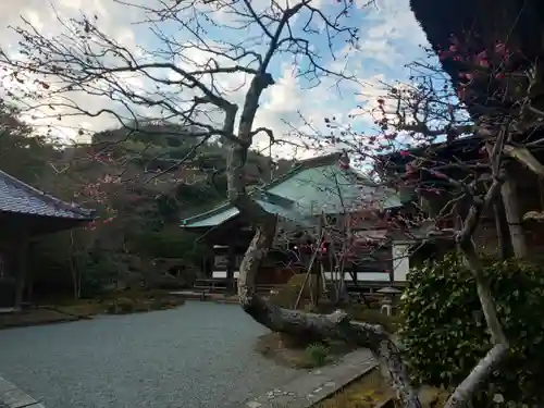 海蔵寺の本殿・本堂