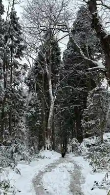 戸隠神社九頭龍社(長野県)