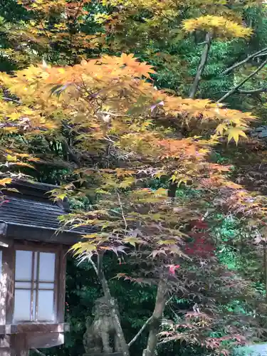 柴神社(福井県)