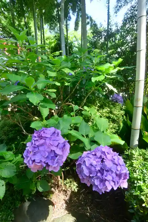 鈴鹿明神社(神奈川県)