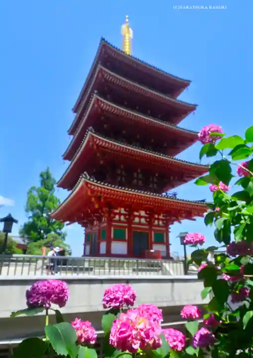 高幡不動尊 金剛寺のその他建物