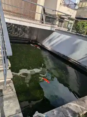 法善寺(東京都)