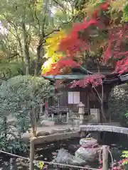 徳光院の庭園