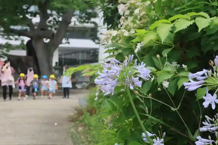阿邪訶根神社の景色