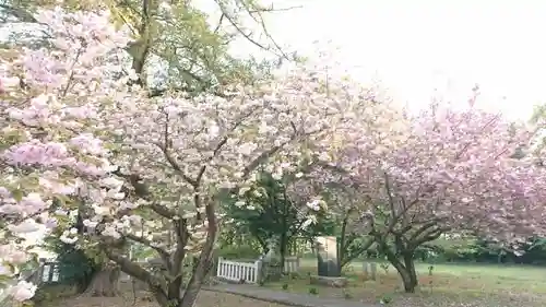 日光鹿島神社の庭園