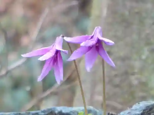 常昌院(神奈川県)