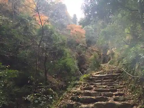 施福寺の庭園