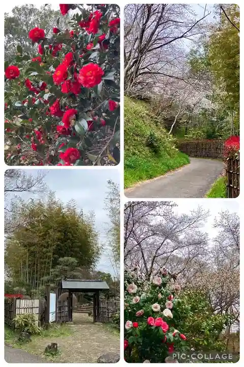 布施弁天 東海寺(千葉県)