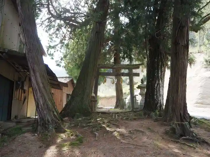 石上布都魂神社の鳥居
