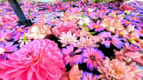 検見川神社の手水舎