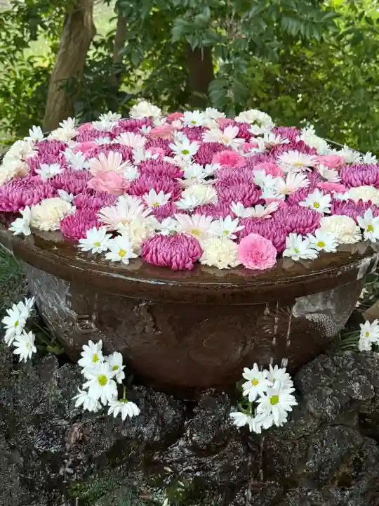武蔵一宮氷川神社(埼玉県)