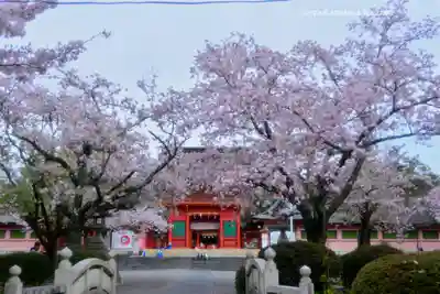 富士山本宮浅間大社(静岡県)
