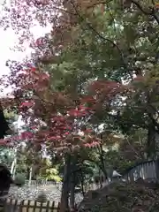 唐澤山神社の建物その他