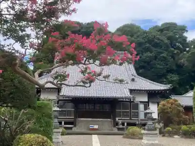 大善寺(神奈川県)
