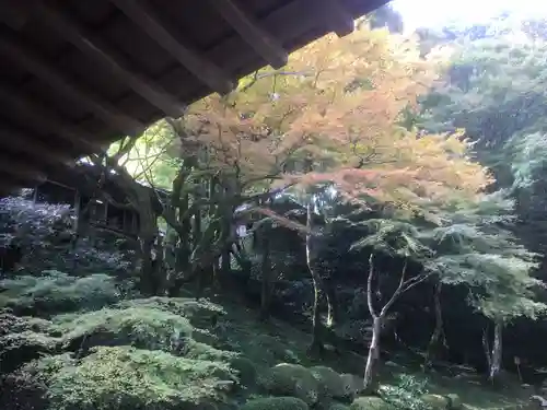 千如寺大悲王院の庭園