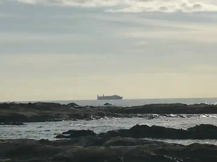 洲崎神社の景色