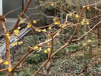 遠照山 光明寺（尼崎大仏）(兵庫県)